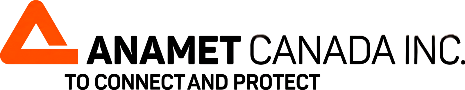 Anamet Canada logo